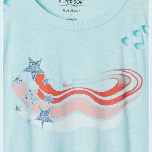 Torrid USA Relaxed Fit Super Soft Slub Crew Neck Crop Tee Size 00. (Medium) NWT - Picture 4 of 7